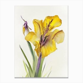 Yellow Flag Iris Wildflower Watercolour 2 Canvas Print
