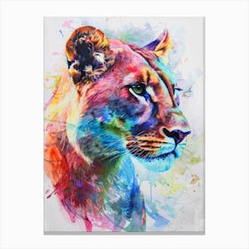 Mountain Lion Colourful Watercolour 3 Canvas Print
