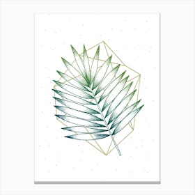 Geometry And Nature 4 Canvas Print