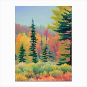 Concolor Fir Tree Watercolour 2 Canvas Print