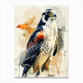 Falcon Colorful Illustration Canvas Print