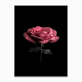 Black Rose 16 Canvas Print