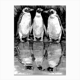 King Penguin Admiring Their Reflections 2 Canvas Print