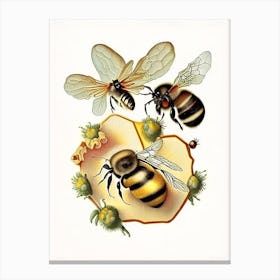 Wax Bees 4 Vintage Canvas Print