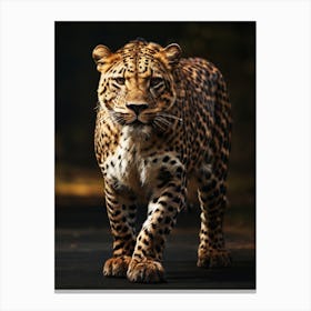 Leopard Walking On The Road Canvas Print