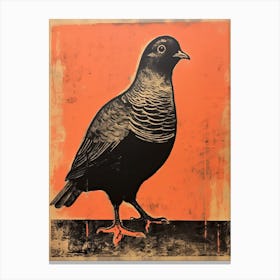 Pigeon, Woodblock Animal Drawing 1 Canvas Print