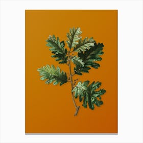Vintage Hungarian Oak Botanical on Sunset Orange n.0298 Canvas Print