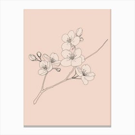 Cherry Blossoms Minimalist Line Art Monoline Illustration Canvas Print