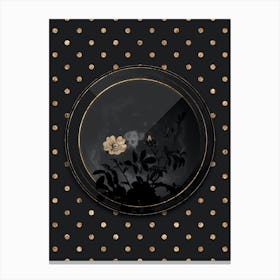 Shadowy Vintage White Downy Rose Botanical in Black and Gold n.0110 Canvas Print