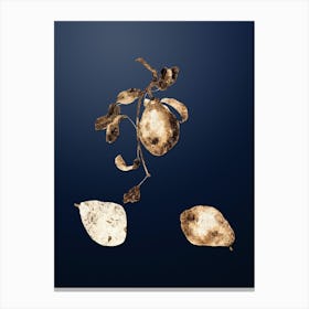 Gold Botanical Pear on Midnight Navy n.2932 Canvas Print