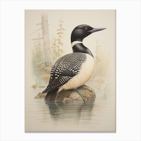 Vintage Bird Drawing Loon 2 Canvas Print