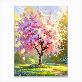 Cherry Blossom Tree 10 Canvas Print