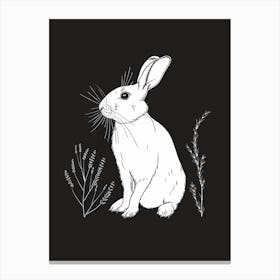 Florida White Rabbit Minimalist Illustration 1 Canvas Print