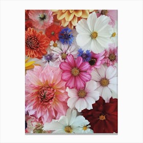 Summer Flower Collection Canvas Print