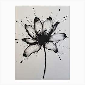 Lotus Flower 8 Canvas Print