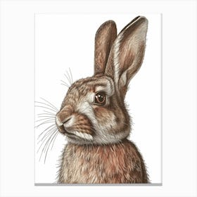 English Lop Blockprint Rabbit Illustration 11 Canvas Print