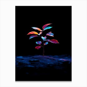 Tree In The Dark 2 Canvas Print