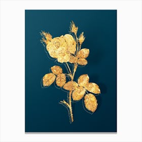 Vintage White Misty Rose Botanical in Gold on Teal Blue Canvas Print