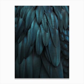 Dark Feathers in Canvas Print