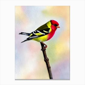 American Goldfinch 2 Watercolour Bird Canvas Print