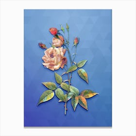 Vintage Common Rose Of India Botanical Art on Blue Perennial n.0075 Canvas Print