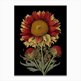 Blanket Flower Wildflower Vintage Botanical 1 Canvas Print