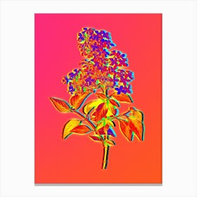 Neon Chinese Lilac Botanical in Hot Pink and Electric Blue n.0140 Canvas Print