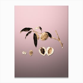 Gold Botanical Peach on Rose Quartz n.3657 Canvas Print