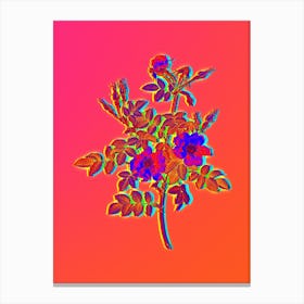 Neon Pink Rosebush Bloom Botanical in Hot Pink and Electric Blue Canvas Print
