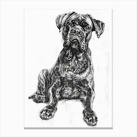 Mastiff Dog Line Sketch 1 Canvas Print