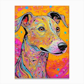 Colourful Whippet Dog Portrait Canvas Print