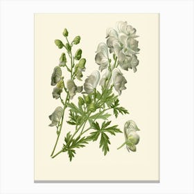 Ginkgo Biloba 1 Canvas Print