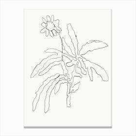 Flower Scribble Canvas Print