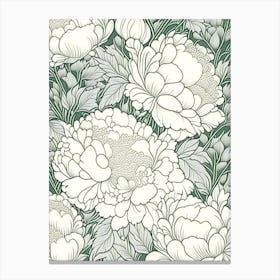 Duchesse De Nemours Peonies 3 Drawing Canvas Print