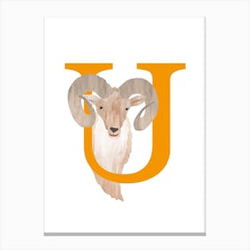 U For Urial Canvas Print