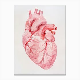 Human Heart 2 Canvas Print