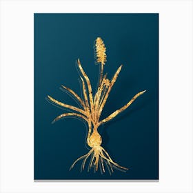 Vintage Muscari Ambrosiacum Botanical in Gold on Teal Blue n.0322 Canvas Print