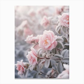 Frosty Botanical Camellia 4 Canvas Print