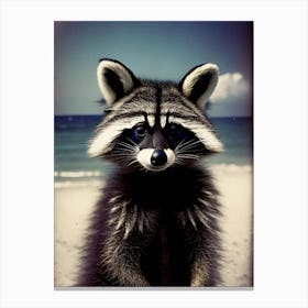 Raccoon On Beach Canvas Print