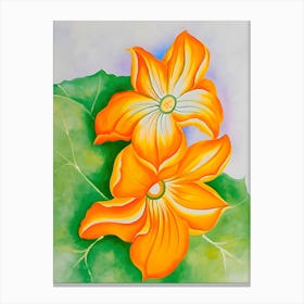 Georgia O'Keeffe - Squash Blossom Canvas Print