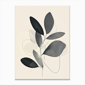 Eucalyptus 1 Canvas Print