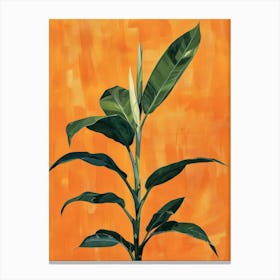 'Banana Plant' 1 Canvas Print