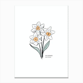 December Narcissus Birth Flower 1 Canvas Print