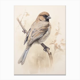 Vintage Bird Drawing Cowbird 2 Canvas Print