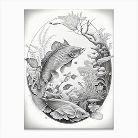 Kigoi Koi Fish Haeckel Style Illustastration Canvas Print