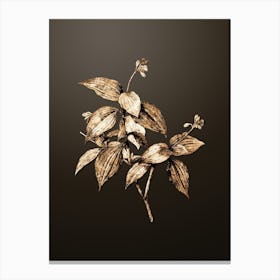 Gold Botanical Tradescantia Erecta on Chocolate Brown Canvas Print