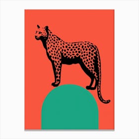 Cheetah 18 Canvas Print
