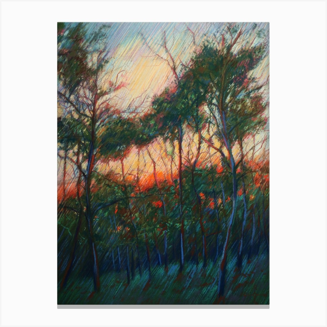 Hatertse Vennen (Hatert Meres) 09 (2014) Canvas Print by Corné Akkers