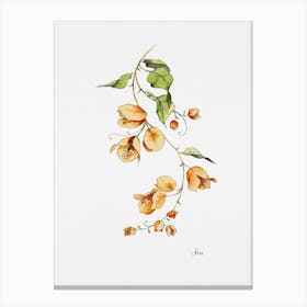 Orange Bougainvillea Canvas Print