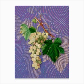 Vintage Muscat Grape Botanical Illustration on Veri Peri n.0955 Canvas Print